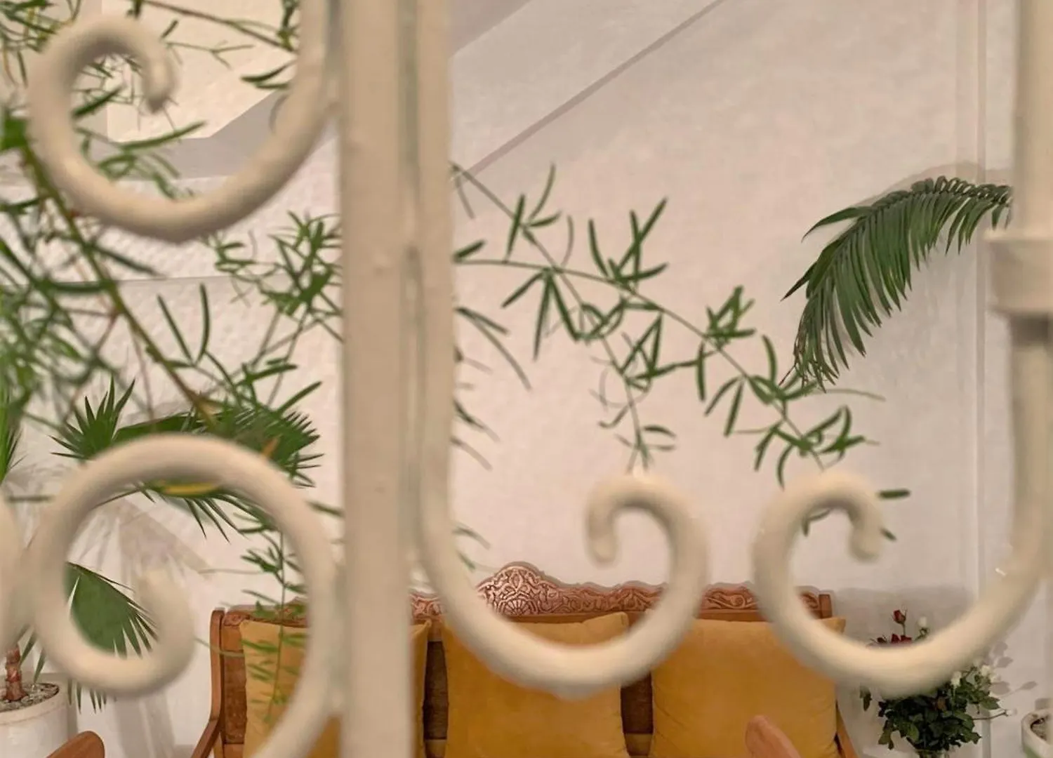 Riad With 3 Swimming Pools 3*, Marakeş Fas