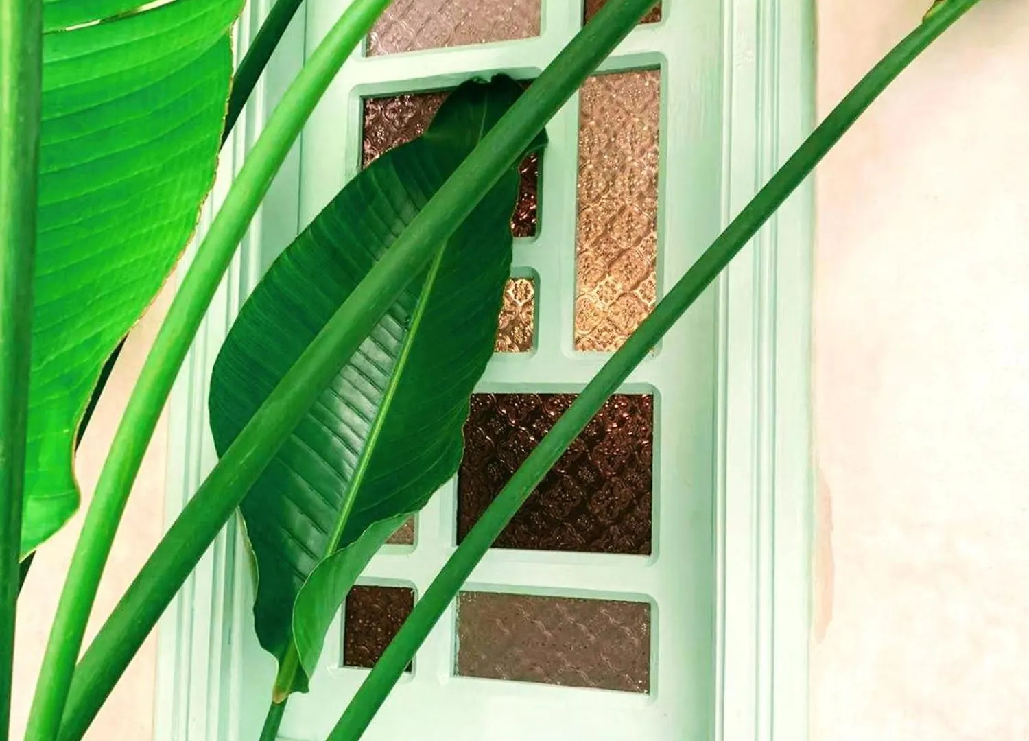 Riad With 3 Swimming Pools